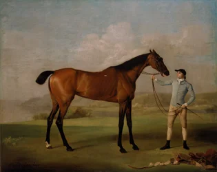 Molly Langbein mit ihrem Jockey